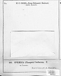 Image Associated With the Occurence